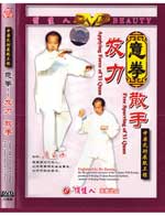 dw028 DVD Image