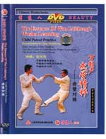 dw090-1 DVD Image