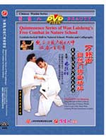 dw091-2 DVD Image
