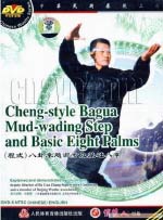 ba gua zhang DVD Image