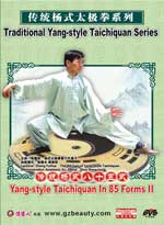  yang tai chi dvd image