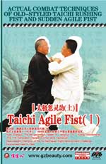 tai chi agile fist dvd Image