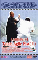 tai chi agile fist dvd Image