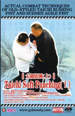 tai chi agile fist dvd Image