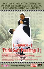 tai chi agile fist dvd Image