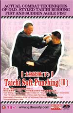 tai chi agile fist dvd Image