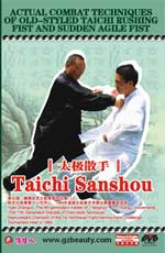 tai chi agile fist dvd Image