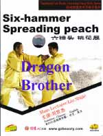 folk wushu DVD Image
