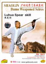 damo shaolin dvd Image