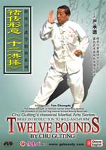 chu guiting classical kungfu DVD Image