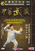 Yang style tai chi DVD Image