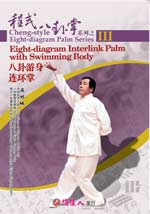 bagua zhang DVD Image