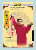 bagua 031 DVD Image