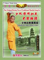 shao lin yi jingjin image