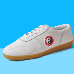 Tai Chi Shoes Image